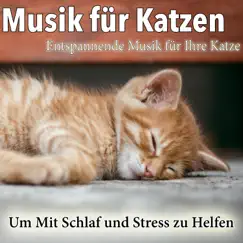 Musik Für Katzen: Entspannende Musik Für Ihre Katze - Um Mit Schlaf Und Stress Zu Helfen by Cat Music Dreams & RelaxMyCat album reviews, ratings, credits