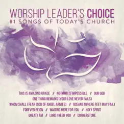 Worship Leader's Choice by Various Artists album reviews, ratings, credits