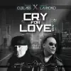 Cry for Love (Remix) - EP album lyrics, reviews, download