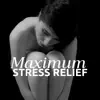 Maximum Stress Relief - Boost Motivation and Productivity album lyrics, reviews, download