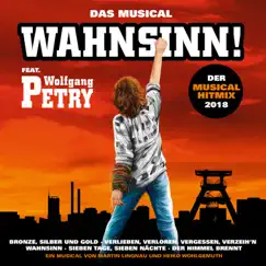 Der Wahnsinn Musical Hitmix 2018 - Single by Wolfgang Petry album reviews, ratings, credits