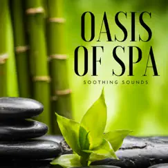 Oasis of Spa - Soothing Sounds, Relaxation, Deep Meditation, Yoga Workout, Stress Relief by Oasis of Relaxation Ensemble album reviews, ratings, credits