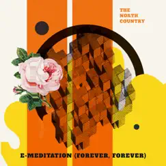 E-Meditation (Forever, Forever) - Single by The North Country album reviews, ratings, credits