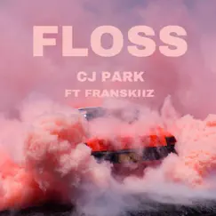 Floss (feat. Franskiiz) - Single by Cj Park album reviews, ratings, credits