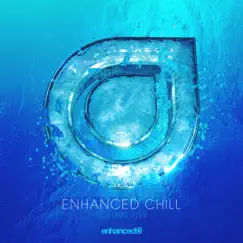 Enhanced Chill, Vol. 5 by Various Artists album reviews, ratings, credits