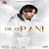 Dil Di Rani - Single album lyrics, reviews, download
