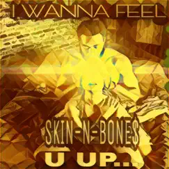 Feel U Up.... - Single by Skin-N-Bone$ album reviews, ratings, credits