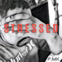 Stressed Song Lyrics