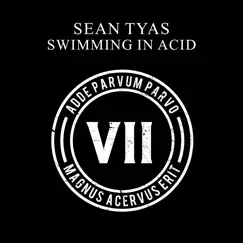 Swimming in Acid - Single by Sean Tyas album reviews, ratings, credits