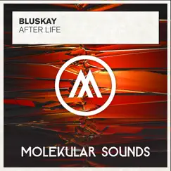After Life - Single by Bluskay album reviews, ratings, credits