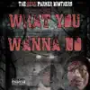 What You Wanna Do (feat. Lil E) - Single album lyrics, reviews, download