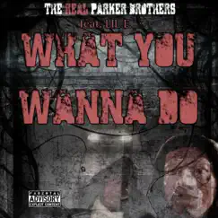 What You Wanna Do (feat. Lil E) - Single by The Real Parker Brothers album reviews, ratings, credits