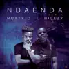 Ndaenda Remix (feat. Hillzy) - Single album lyrics, reviews, download