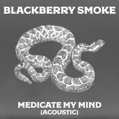 Medicate My Mind (Acoustic) - Single by Blackberry Smoke album reviews, ratings, credits