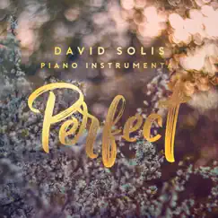 Perfect (Piano Instrumental) Song Lyrics