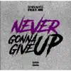 Never Gonna Give Up - Single (feat. BR) - Single album lyrics, reviews, download