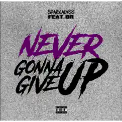 Never Gonna Give Up - Single (feat. BR) - Single by Sparkadiss album reviews, ratings, credits
