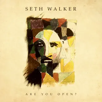 Download Inside Seth Walker MP3