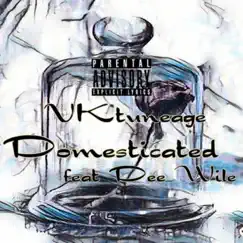 Domesticated (feat. Dee Wile) - Single by VK Tuneage album reviews, ratings, credits