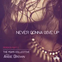 Never Gonna Give up (Remixes Part 1) [feat. Angie Brown] - Single by The Miami Collective album reviews, ratings, credits