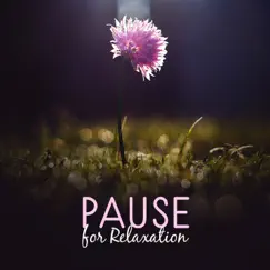 Pause for Relaxation: Stay Calm, Heal Your Mind & Soul, Stress Reduce and Anger Control, Feel Serenity & Calmness by Serenity Music Zone album reviews, ratings, credits
