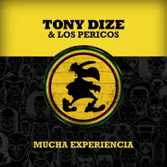 Mucha Experiencia (feat. Los Pericos) - Single by Tony Dize album reviews, ratings, credits