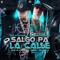 SALGO PA LA CALLE - Single by Cano El Barbaro & Juanka album reviews, ratings, credits