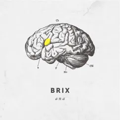 Ana - Single by Brix album reviews, ratings, credits