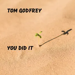 You Did It - Single by Tom Godfrey album reviews, ratings, credits