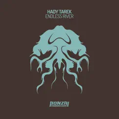 Endless River - Single by Hady Tarek album reviews, ratings, credits