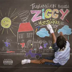 Traxamillion Presents: It Was a Hot Summer by Ziggy album reviews, ratings, credits