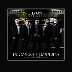Promesa Cumplida (En Vivo) by Grupo Fernández album reviews, ratings, credits