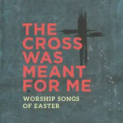 The Cross Was Meant For Me (Live) Song Lyrics