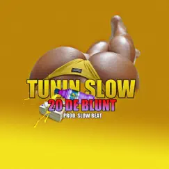 20 de blunt - Single by Tunin Slow album reviews, ratings, credits