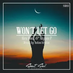 Won't Let Go - Single by Alex Hook & Shyam P album reviews, ratings, credits