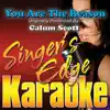 You Are the Reason (Originally Performed By Calum Scott) [Karaoke] song lyrics