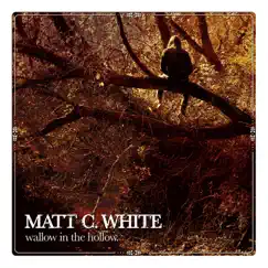 Oath - Single by Matt C. White album reviews, ratings, credits