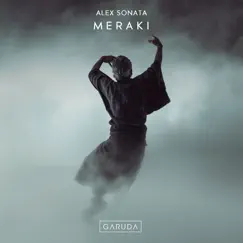 Meraki Song Lyrics