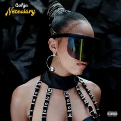 Necessary - Single by Bahja Rodriguez album reviews, ratings, credits