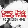 No Direction Home - Single album lyrics, reviews, download