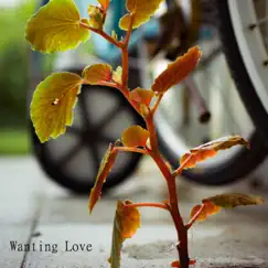 Wanting Love - Single by Patrick Haesler album reviews, ratings, credits