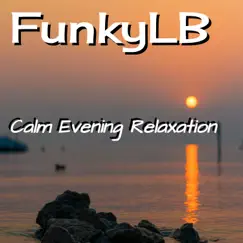 Calm Evening Relaxation - Single by Funkylb album reviews, ratings, credits