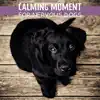 Calming Moment for Nervous Dogs: Relaxing Tracks for Calm Down Your Puppies album lyrics, reviews, download