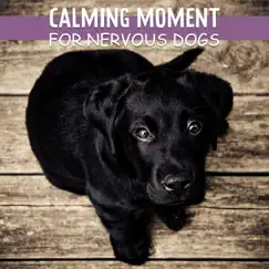 Calming Moment for Nervous Dogs: Relaxing Tracks for Calm Down Your Puppies by Pet Care Club & Pet Music Academy album reviews, ratings, credits