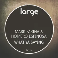 What Ya Saying - Single by Mark Farina & Homero Espinosa album reviews, ratings, credits