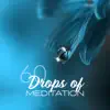 60 Drops of Meditation: Relaxation and Calm Background for Contemplation and Evening Mindfulness, Tibetan Buddhist Tracks album lyrics, reviews, download