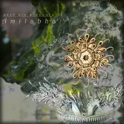 Amitabha by Alio Die & Aglaia album reviews, ratings, credits