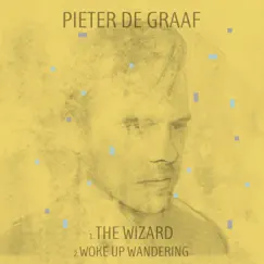The Wizard - Single by Pieter de Graaf album reviews, ratings, credits