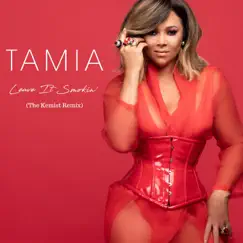 Leave It Smokin’ (The Kemist Remix) - Single by Tamia album reviews, ratings, credits