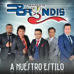 A Nuestro Estilo by Grupo Bryndis album reviews, ratings, credits